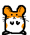 Hamster